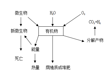 托摩根